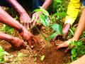 91 लाख वृक्ष लागवडीसाठी सज्जता - Marathi News | 91 lakhs trees are ready for cultivation | Latest nandurbar News at Lokmat.com