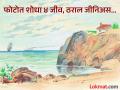 चॅलेंज! तुमची नजर तीक्ष्ण आहे का? शोधून दाखवा फोटोत लपवलेले ४ जीव, ठराल जीनिअस... - Marathi News | Optical Illusion : Find hidden animals in this photo in 5 second | Latest social-viral News at Lokmat.com