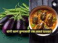 भलेही भरपूर पोषण देतात, टेस्टी लागतात पण काही लोकांसाठी वांगी घातक; पाहा कुणी आणि का खाऊ नयेत वांगी - Marathi News | Who should not eat brinjal side effects of eggplant in kidney stone and allergy | Latest sakhi Photos at Lokmat.com