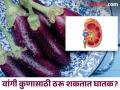 'या' समस्या असलेल्या लोकांनी चुकूनही खाऊ नये वांग्याची भाजी, होऊ शकतात गंभीर समस्या! - Marathi News | Brinjal side effects: People with these problems should not eat Brinjal, know reason | Latest health News at Lokmat.com