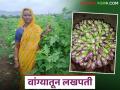 आईच्या मदतीने राहुल यांनी दहा गुंठे वांग्यातून मिळवले दीड लाखाचे उत्पन्न - Marathi News | With the help of his mother, Rahul earned an income of Rs 1.5 lakh from ten gunthas of brinjal | Latest agriculture News at Lokmat.com