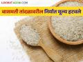 Basmati Rice : बासमती तांदळावरील किमान निर्यात मूल्य हटवले, केंद्र सरकारचा निर्णय  - Marathi News | Latest News Minimum export value on basmati rice removed, central government decision  | Latest agriculture News at Lokmat.com