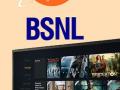 विना नेटवर्क कॉलिंगनंतर, आता BSNL आणतंय विना Set top box टीव्ही चॅनेल्स; 'यांच्या'सोबत हातमिळवणी - Marathi News | After No Network Calling Now BSNL to Bring No Set Top Box TV Channels get live channes zee sony sports with ott | Latest business News at Lokmat.com
