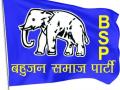 बसपाच्या दोन उमेदवारांसह पाच जणांची हकालपट्टी - Marathi News | Five people, including two BSP candidates, were expelled | Latest nagpur News at Lokmat.com