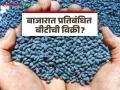 BT Cotton Seeds: शेतकऱ्यांनो! प्रतिबंधित बीटी बियाण्यांपासून सावध राहा; वाचा सविस्तर - Marathi News | BT Cotton Seeds: Farmers! Beware of banned BT seeds; Read in detail | Latest agriculture News at Lokmat.com
