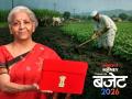 अर्थसंकल्पात बळीराजासाठी 'हाय-व्हॅल्यू' बूस्टर! 'या' पिकांच्या शेतीला सुगीचे दिवस; 'भारत विस्तार' योजनेची घोषणा - Marathi News | Union Budget 2026 for Farmers Focus on High-Value Crops like Cashew, Sandalwood, and Walnut | Latest business News at Lokmat.com