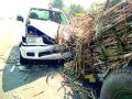 बुलडाणा एलसीबीच्या वाहनाला अंबडजवळ अपघात; आठ जखमी - Marathi News | Buldhana LCB vehicle accident near Ambad; Eight injured | Latest buldhana News at Lokmat.com