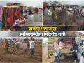 बैलगाडा शर्यतींमुळे वाढला 'भाव', अनेकांना रोजगाराची संधी; ग्रामीण भागात 'आड्ड्या'ची 'क्रेझ' - Marathi News | | Latest maharashtra Photos at Lokmat.com