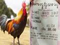 ऐकावं ते नवलंच! बसमधून प्रवास करणाऱ्या कोंबड्याचं कंडक्टरनं कापलं तिकीट - Marathi News | TSRTC bus conductor issued a ticket for a rooster while traveling in the bus | Latest jarahatke News at Lokmat.com