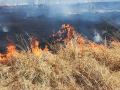 वणव्यामुळे वनसंपदा धोक्यात; उपाययोजनांची गरज - Marathi News | Forests threaten forestry; Need for solutions | Latest raigad News at Lokmat.com