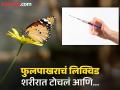 फुलपाखराला चिरडून मारलं, त्याचं लिक्विड शरीरात इंजेक्ट केलं; सात दिवसांनी मुलाचा मृत्यू! - Marathi News | Brazil 14 year boy died after taking butterfly injection, Social media challenge takes his life | Latest jarahatke News at Lokmat.com
