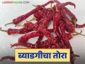 Byadagi Mirchi Bajar Bhav : लाल मिरचीच्या उत्पादनात वाढ; बाजारात ब्याडगीचा तोरा उतरला - Marathi News | Byadagi Mirchi Bajar Bhav: Increase in red chilli production; Byadagi chilli market price fall down | Latest agriculture News at Lokmat.com