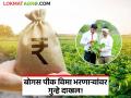 Crop Insurance : सावधान! बोगस पीक विमा अर्ज भरणाऱ्या सेतू सुविधा केंद्रांवर अखेर गुन्हे दाखल - Marathi News | Crop Insurance: Beware! Cases have finally been registered against Setu Suvidha Kendras who filled bogus crop insurance applications | Latest agriculture News at Lokmat.com
