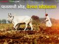 पावसाची ओढ, पेरण्या खोळंबल्या, पुरेसा पाऊस होईपर्यंत पेरण्या न करण्याचा सल्ला - Marathi News | Inflow of rains, sowing disturbed, advice not to sow until sufficient rains | Latest agriculture News at Lokmat.com