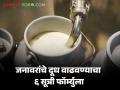 Grow Milk Production : गायीम्हशीचे दूध वाढवण्यासाठी 'या' गोष्टी करा; ५० ते २०० लिटरपर्यंत वाढू शकते दूध - Marathi News | Grow Milk Production : Do 'these' things to increase cow's milk; Milk can increase from 50 to 200 liters | Latest agriculture News at Lokmat.com