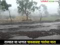 Hailstorm: राज्यात विदर्भासह या भागात पावसासह गारांचा मारा, जाणून घ्या.. - Marathi News | Hailstorm: Hailstorm with rain in these parts of the state including Vidarbha, know.. | Latest agriculture News at Lokmat.com
