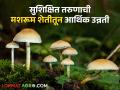 नोकरीच्या शोधात असताना या तरूणाने केली मशरूम शेतीला सुरुवात, मिळतोय चांगला नफा.. - Marathi News | While looking for a job, this young man started mushroom farming, getting good profit.. | Latest agriculture News at Lokmat.com