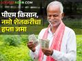 शेतकऱ्यांसाठी खुशखबर! पीएम किसानचा १६ हप्ता शेतकऱ्यांच्या खाती जमा, पैसे आले की नाही कसे तपासाल? - Marathi News | | Latest agriculture News at Lokmat.com