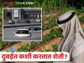 पुराने हाहाकार उडालेल्या दुबईत कशी करतात शेती? - Marathi News | | Latest agriculture News at Lokmat.com