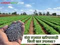 Fertilizer For Kharip 2024 : यंदाच्या खरिपात किती खत उपलब्ध? केंद्राने किती दिली मंजुरी? - Marathi News | Fertilizer For Kharip 2024: How much fertilizer is available in this year's Kharip? How much approval did the center give? | Latest agriculture News at Lokmat.com