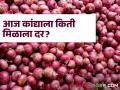 Maharashtra Onion Rates : राज्यात कांद्याच्या दराची काय आहे स्थिती? आज कुठे किती मिळाला दर? - Marathi News | Maharashtra Onion Rates: What is the status of onion rates in the state? Where did you get the rate today? | Latest agriculture News at Lokmat.com