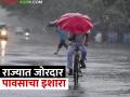 Rain Alert: राज्यात विजांच्या कडकडाटासह जोरदार पावसाचा अलर्ट, हवमान विभागाचा अंदाज काय? - Marathi News | | Latest agriculture News at Lokmat.com