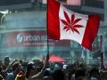 17 ऑक्टोबरला 'या' देशात गांजाला कायदेशीर मान्यता मिळणार - Marathi News | Canada To Legalize Cannabis On October 17: Justin Trudeau | Latest international News at Lokmat.com