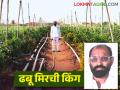 काय सांगताय; ढबू मिरची पिकात सहा महिन्यांत तब्बल ५० लाख रुपयांची कमाई - Marathi News | What are you saying? 50 lakh rupees earned in capsicum chilli crop in six months | Latest agriculture News at Lokmat.com