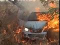 अपघातात कार जळून खाक ! - Marathi News | Burn the car in an accident! | Latest vashim News at Lokmat.com