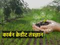 देशात प्रथमच कार्बन क्रेडिट, ब्लॉक चेन तंत्रज्ञान - Marathi News | Carbon credit, block chain technology for the first time in the country | Latest agriculture News at Lokmat.com