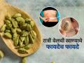 एकदा करून बघाच! वजन कमी होईल अन् केस गळणंही थांबेल... इवल्याशा वेलचीचे मोठे फायदे - Marathi News | benefits of chewing cardamom at night | Latest sakhi Photos at Lokmat.com
