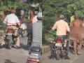 व्हिडिओ व्हायरल... पोलीस पैशासाठी अडला, दुचाकीस्वार नग्न होऊन नडला - Marathi News | Video goes viral ... Police stand up for money for without mask, bike rider walks naked | Latest solapur News at Lokmat.com