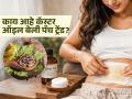 काय आहे कॅस्टर ऑइल बेली पॅच ट्रेंड, खरंच याने काही फायदे मिळतात की नाही? - Marathi News | What is castor oil belly patch trend, know its benefits and side effects | Latest sakhi News at Lokmat.com