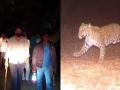 IN PICS! MLA Rohit Pawar joins forest officials in search operation of leopard with a stick in his hand - Hindi News | IN PICS! MLA Rohit Pawar joins forest officials in search operation of leopard with a stick in his hand | Latest maharashtra Photos at Lokmattimes.com