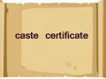 महिनाभरात तीन हजारांवर जात, क्रिमिलेअर प्रमाणपत्रांचे वितरण! - Marathi News | Three thousand Crimilere certificates, caste certificates diliverd | Latest akola News at Lokmat.com