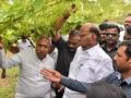 संपादकीय लेख : शरद पवार, वाईन... आणि सरकारची लाईन! - Marathi News | Editorial: Sharad Pawar, wine ... and the government's line! | Latest editorial News at Lokmat.com