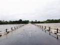 विदर्भात कोसळल्या मुसळधारा, जनजीवन विस्कळीत - Marathi News | Torrential floods in Vidarbha, disruption of life | Latest nagpur News at Lokmat.com