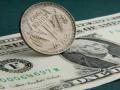 रुपयाला वाचविण्यासाठी १०० अब्ज डॉलरचा खर्च - Marathi News | 100 billion dollars spent to save the rupee | Latest business News at Lokmat.com