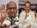 काकांचा निवडून आणण्यात तर पुतण्याचा पाडण्यात हातखंडा - Marathi News | Sharad Pawar and ajit pawar expert in their area vidhansabha election 2019 | Latest maharashtra News at Lokmat.com