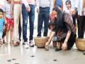 दिवेआगर पर्यटनस्थळ बनले कासवांचे गाव, पालकमंत्र्यांची भेट - Marathi News | Diveagar became a tourist destination, the village of turtles, the visit of the Guardian Minister | Latest raigad News at Lokmat.com