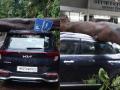 शिवसेना खासदाराच्या गाडीवर कोसळले झाड, गाडीचं मोठं नुकसान - Marathi News | Tree fell on Shiv Sena MP Omraje Nimbalkar's car, huge damage to the car | Latest mumbai Photos at Lokmat.com