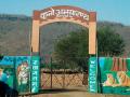 त्यामुळेच कुनो पालपूरची चित्ता अभयारण्यासाठी निवड - Marathi News | This led to the selection of Kuno Palpur as a cheetah sanctuary | Latest national News at Lokmat.com