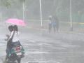 कोल्हापुरात जोरदार पाऊस, अवकाळी पावसाने शेतकऱ्यांचे नुकसान - Marathi News | Heavy rains in Kolhapur, return rains damage farmers crops | Latest kolhapur News at Lokmat.com