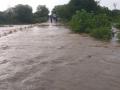 शेती पिकांचे नुकसान; नदीवरील पुलावरून पावसाचे पाणी, वाहतूक ठप्प - Marathi News | Damage to agricultural crops; Rain water from the bridge over the river, traffic stopped | Latest latur News at Lokmat.com