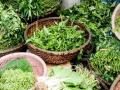 पावसाळ्यात पालेभाज्या खाताना तुम्ही कशाप्रकारे काळजी घ्याल? - Marathi News | How do you take care when eating leafy greens and vegetable | Latest mumbai News at Lokmat.com