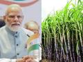 ऊस उत्पादक शेतकऱ्यांसाठी मोठा निर्णय, केंद्राने MSP दरात केली वाढ - Marathi News | Big decision for sugarcane farmers, Center government hikes MSP rate | Latest national News at Lokmat.com