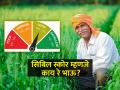 शेतकऱ्यांनो कर्ज मिळणार की नाही, हे नेमके कशावरून ठरते? - Marathi News | What exactly determines whether the farmers will get a loan or not? | Latest agriculture News at Lokmat.com