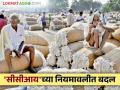 Cotton Market : शेतकऱ्यांनो! 'सीसीआय'मध्ये कापूस विक्री करताय हे नक्की वाचा - Marathi News | Cotton Market : Farmers! Make sure to read about selling cotton in 'CCI' | Latest agriculture News at Lokmat.com