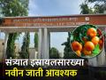 एशियन सिट्रस काँग्रेस’ने संत्रा उत्पादकांना काय दिले? - Marathi News | What did the Asian Citrus Congress give to orange growers? | Latest agriculture News at Lokmat.com