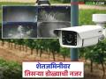 Protecting Crops : पिकांवर आता राहणार घर बसल्या नजर; जाणून घ्या काय आहे कारण सविस्तर - Marathi News | Protecting Crops: Now you will have to keep an eye on agricultural crops from home; Know what is the reason in detail | Latest agriculture News at Lokmat.com